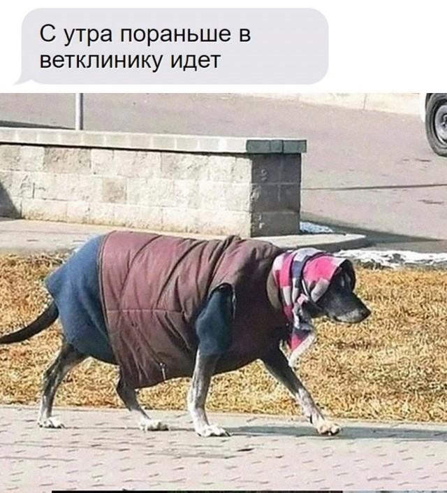 Завалялось тут случайно немного забавных картинок