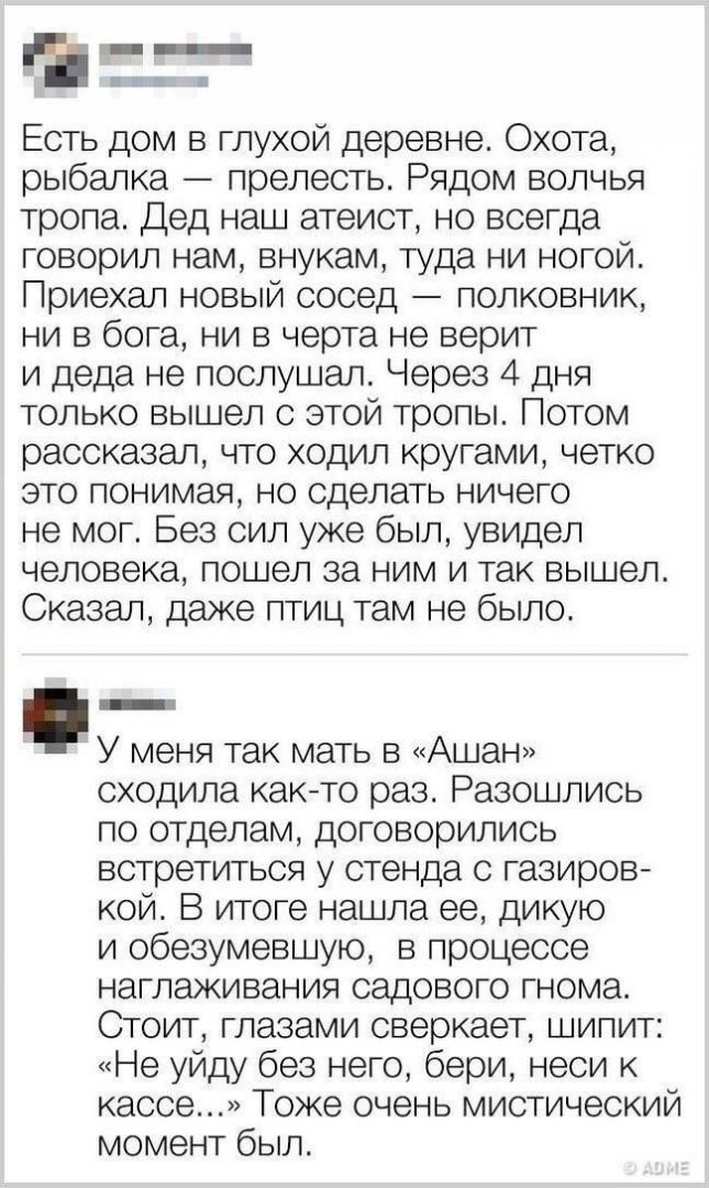 Всего понемногу. От 22.07.24