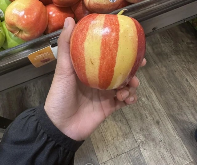 ФотоВинегрет
