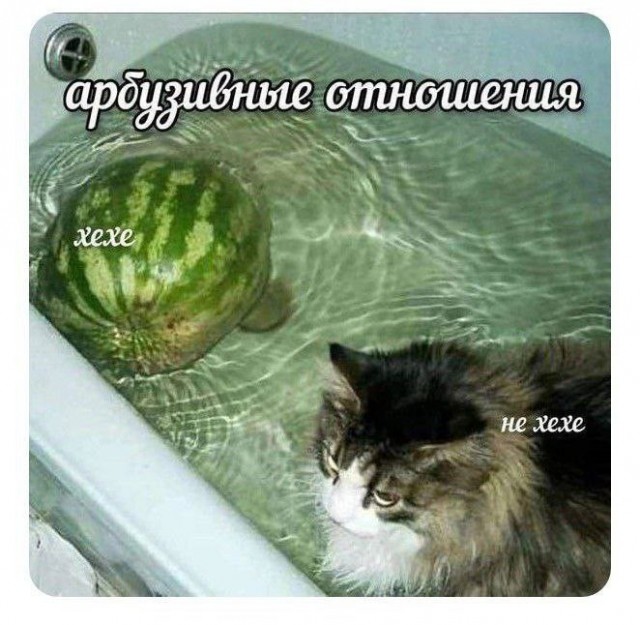 Нуштош 19.09.2024