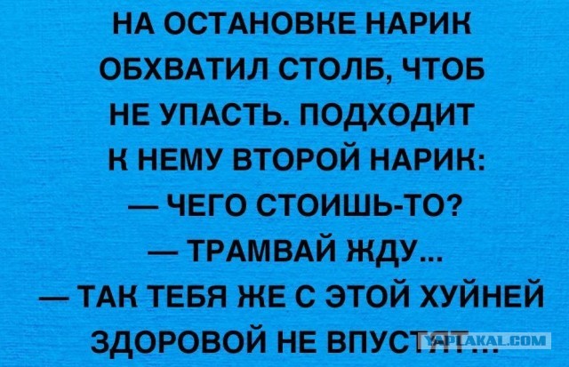 Веселые картинки в пятницу (27.12)