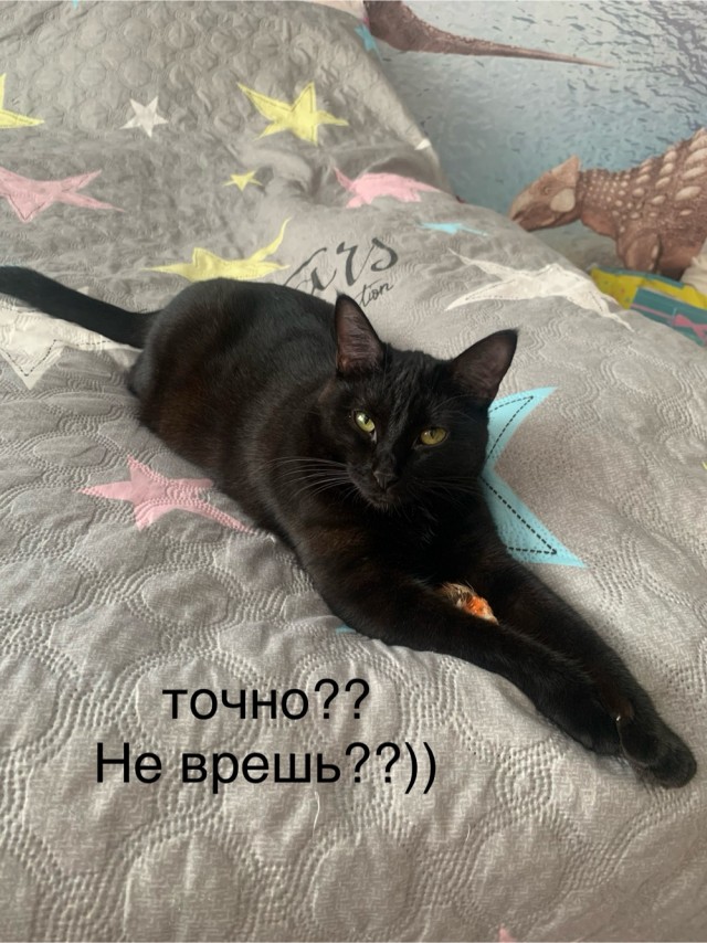 Обольститель