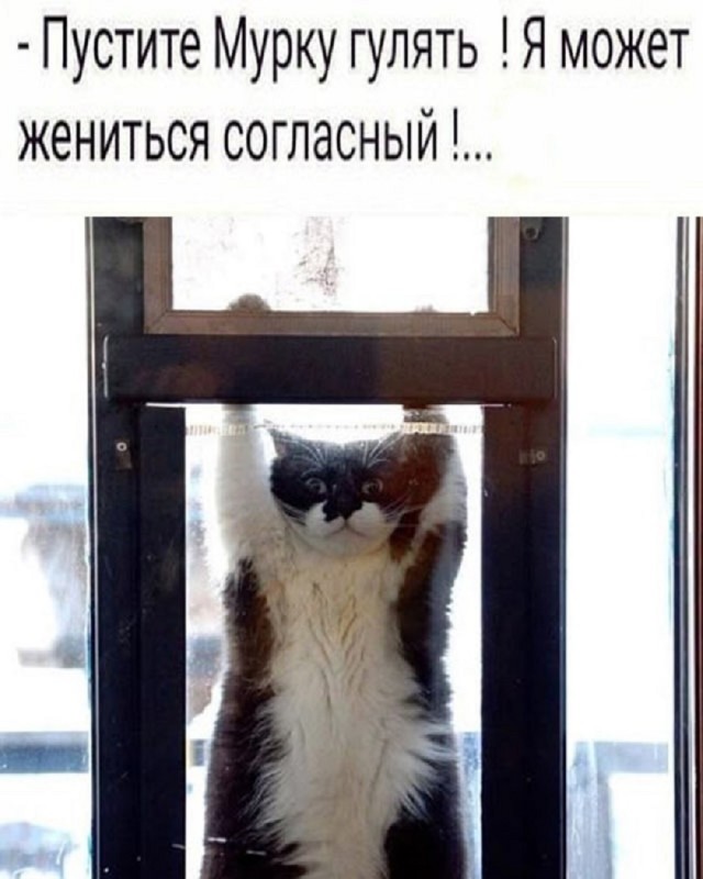 Так себе картинки 17.06.25