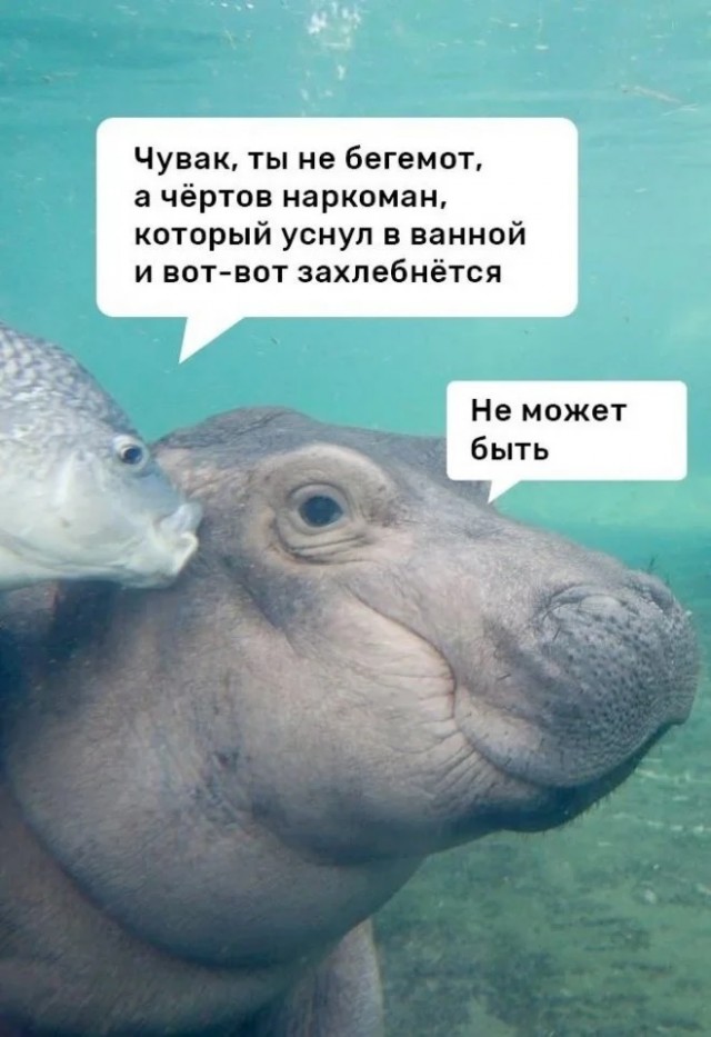 Завалялось тут случайно немного забавных картинок
