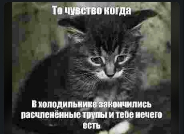 Давно не было !