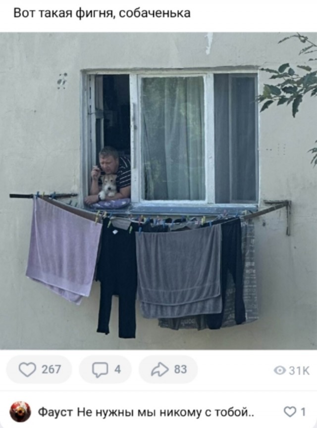 Так себе картинки 01.07.25