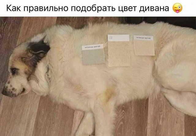 Завалялось тут случайно немного забавных картинок