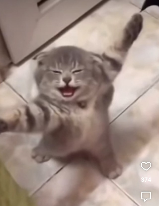 Уррра, вторник!