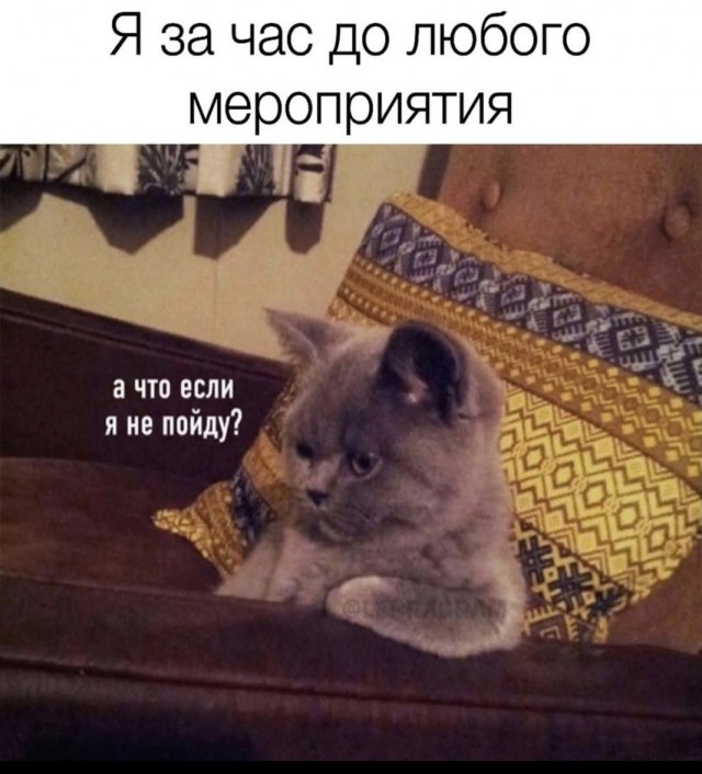 Веселое настроение в картинках 27.07.25