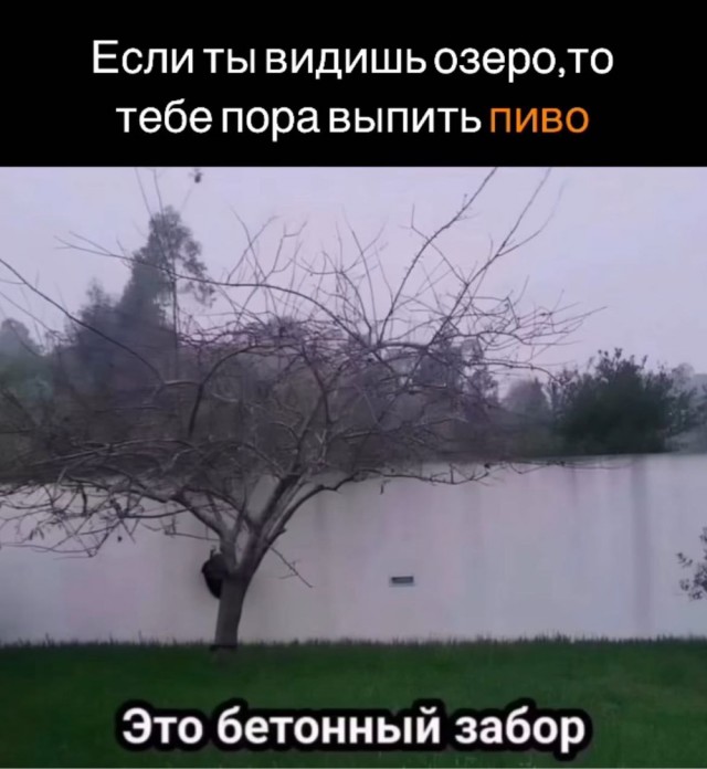 Картинки для деградации 18 (разной степени свежести)
