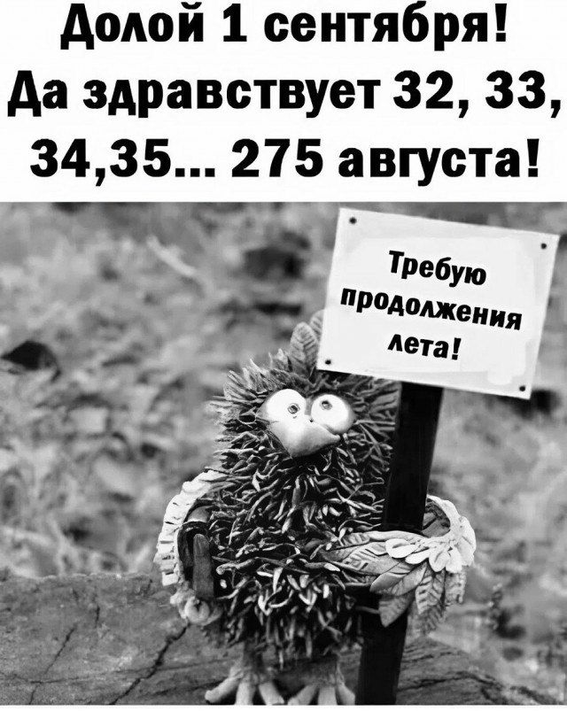 Так себе картинки 01.09.25