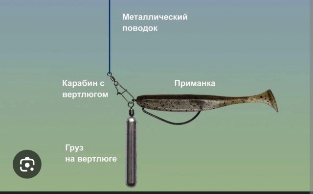 Рыбаки, кто подскажет