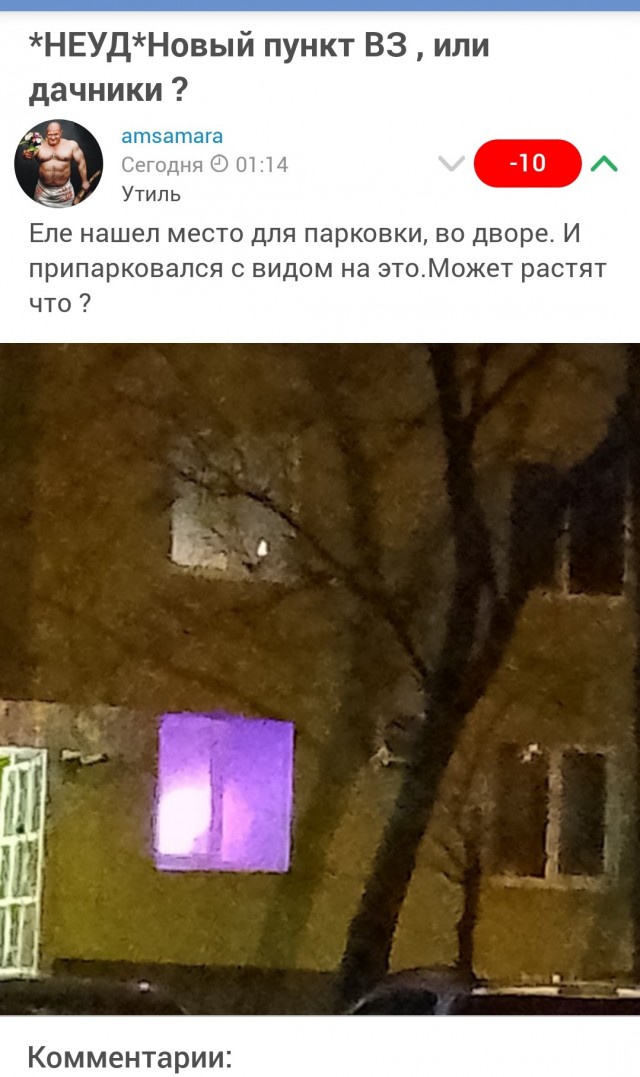 В Питере мужчина вырастил целую плантацию конопли прямо в квартире