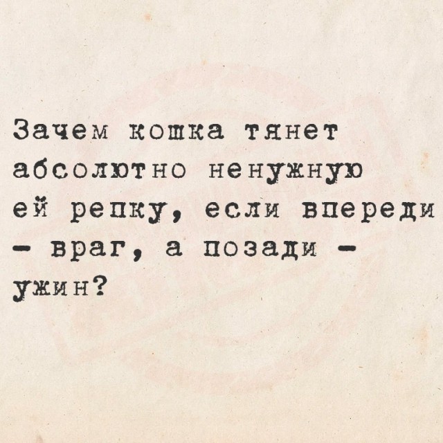 Субботние картинки