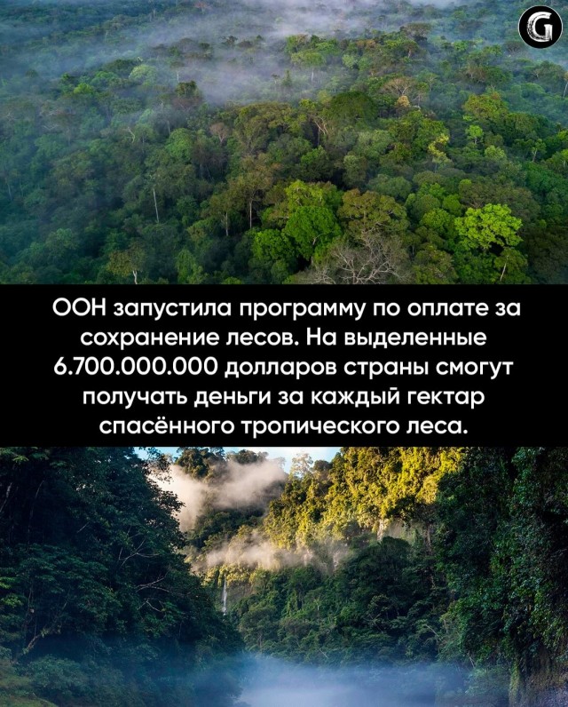 Хорошие новости,  про которые почти никто не говорит