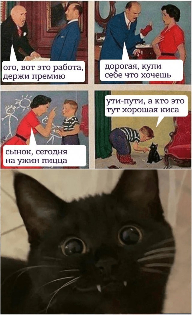 Картиночки, баянчики 30 января