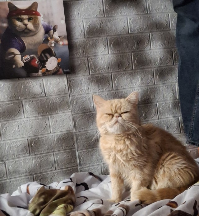 Растет смена