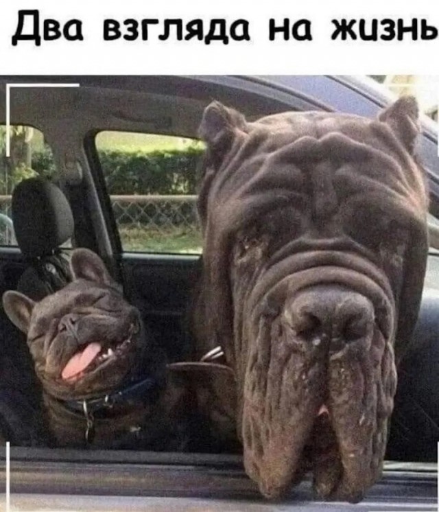 Так себе картинки 03.03.26