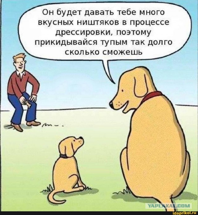 К хорошему быстро привыкаешь