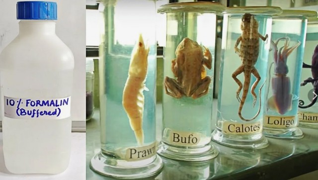 Считалочка для мёртвых. Серия первая