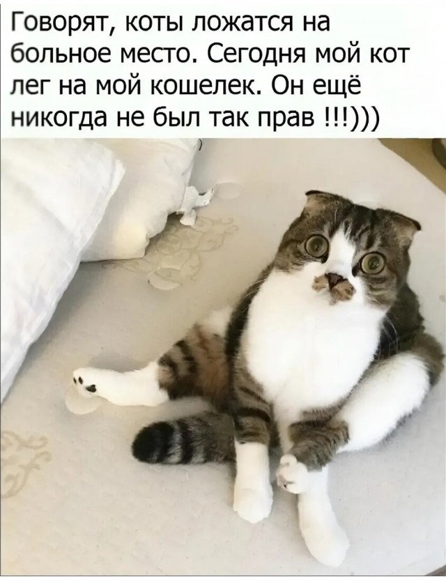 Четверговые картинки