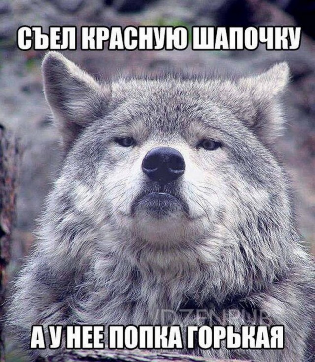 Картиночки, баянчики 25 июня