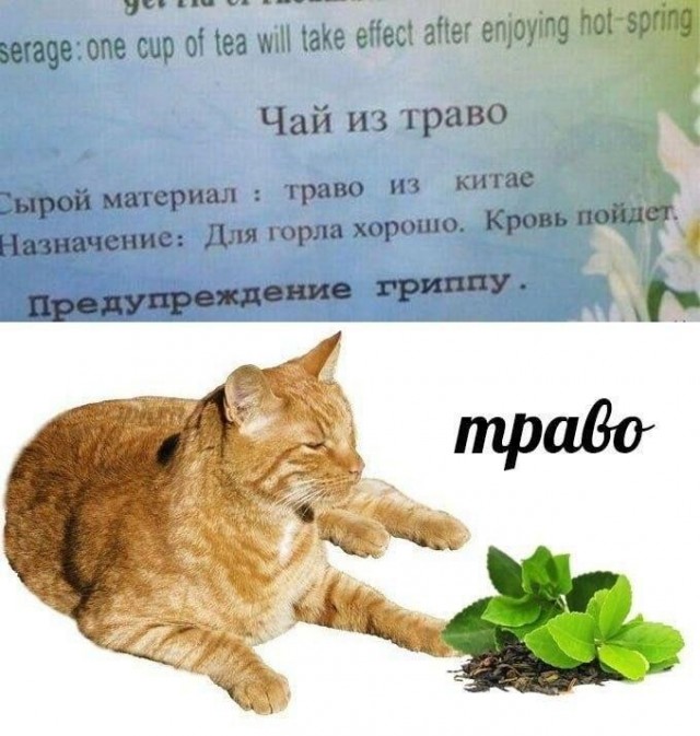 Картинки для деградации 230 (разной степени свежести)