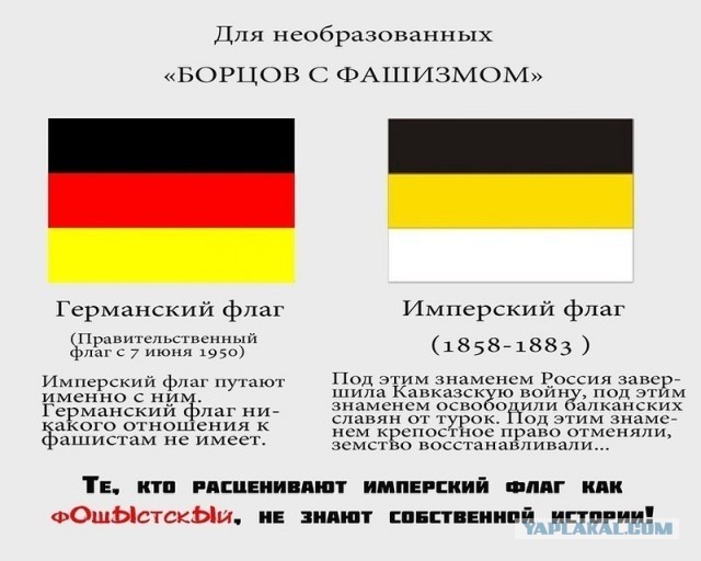 Апогей толерантности