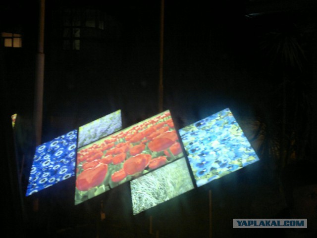 Олимпиада через задницу