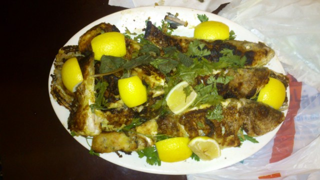 Рыбалка в Персидском заливе