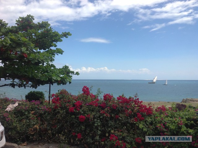 Как я съездил на Сейшелы