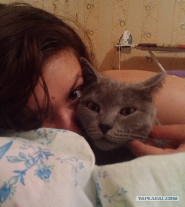 Не было заботы