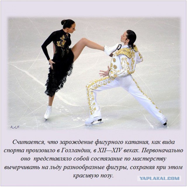 20 фактов обо всем