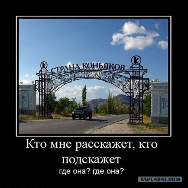 Прикольные картинки из сети