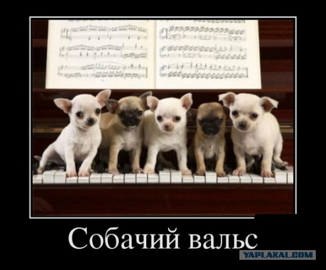 Картинки разные