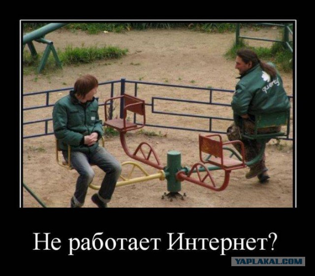 41 веселая картинка