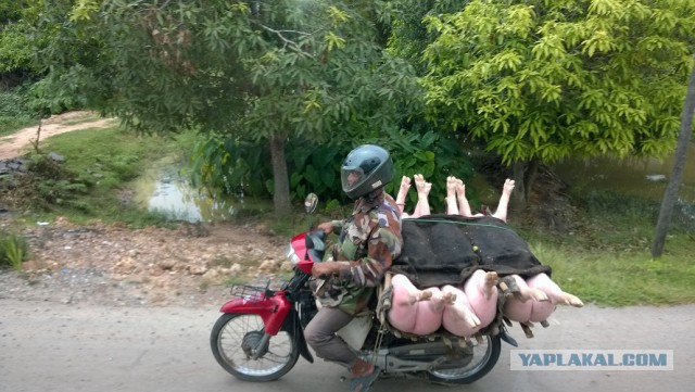 В погоне за ЮКой