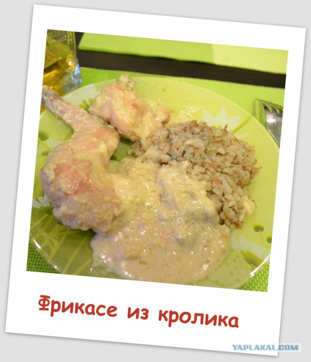 Следуй за белым кроликом