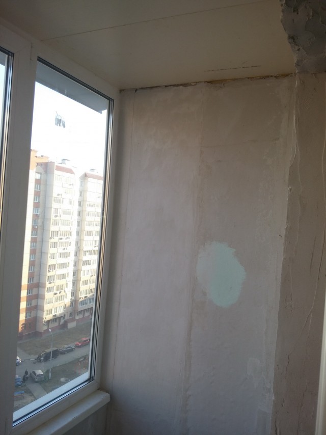 2 года ада глазами кошки