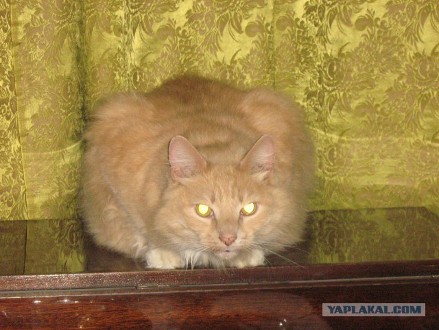 Друг настало твое время