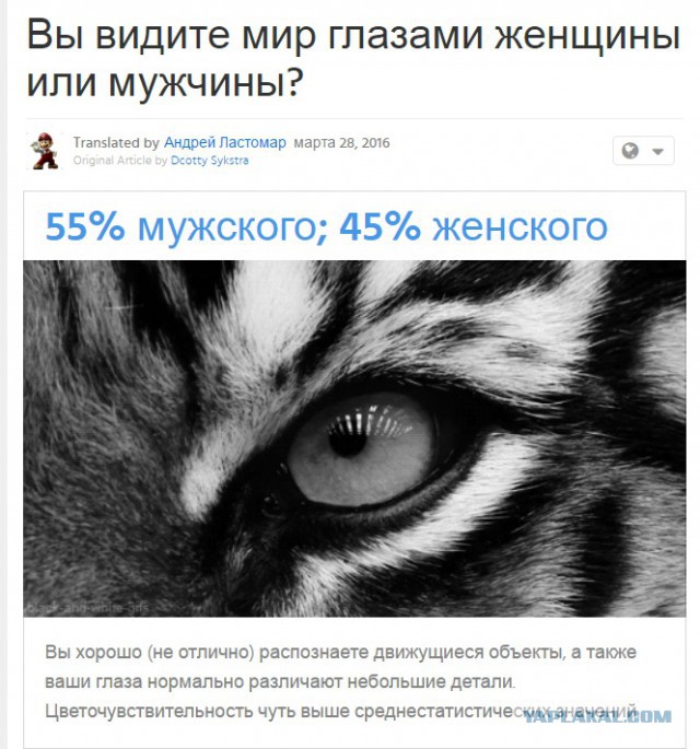 Тест: Вы воспринимаете этот мир глазами мужчины или женщины?