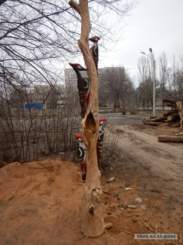 Поцелуй Дятла