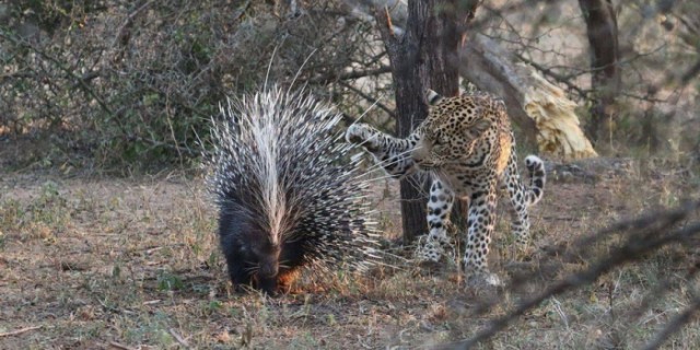 Подборка интересных и веселых фото