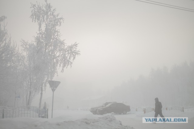 Сургут в -50 в картинках.