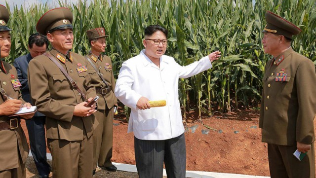 Счастливого Ким Чен Ына запечатлели на фото со свиньями