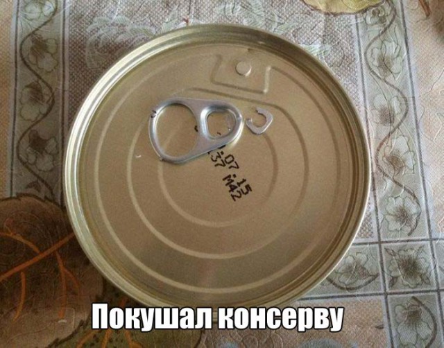 Фотоподборка в стиле "когда тебе не везет и как с этим бороться"