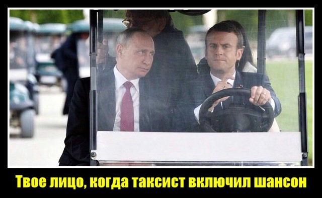 Подборка интересных и веселых картинок