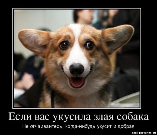 Нападение на пляже