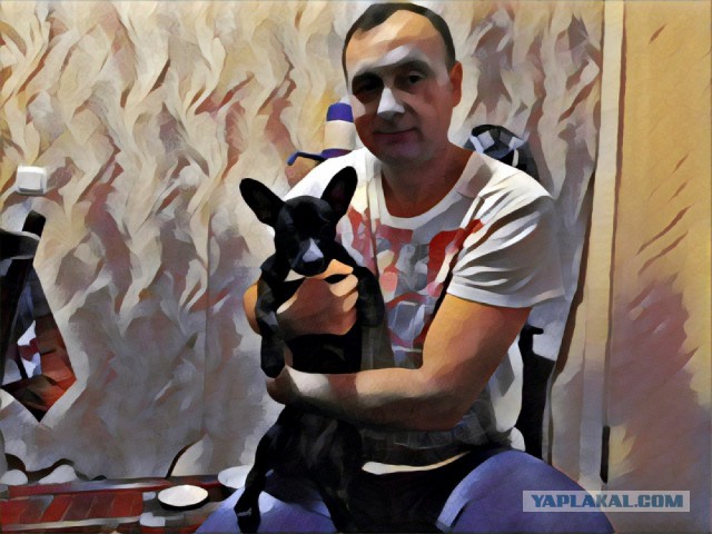 С новым годом собаки