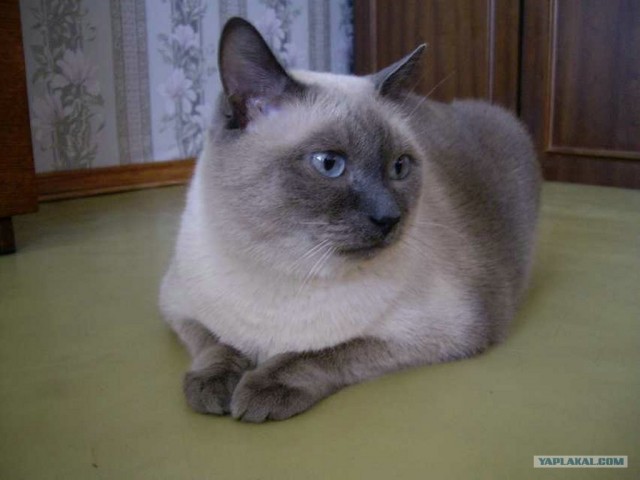 КОТовторник 13.04.2010г.
